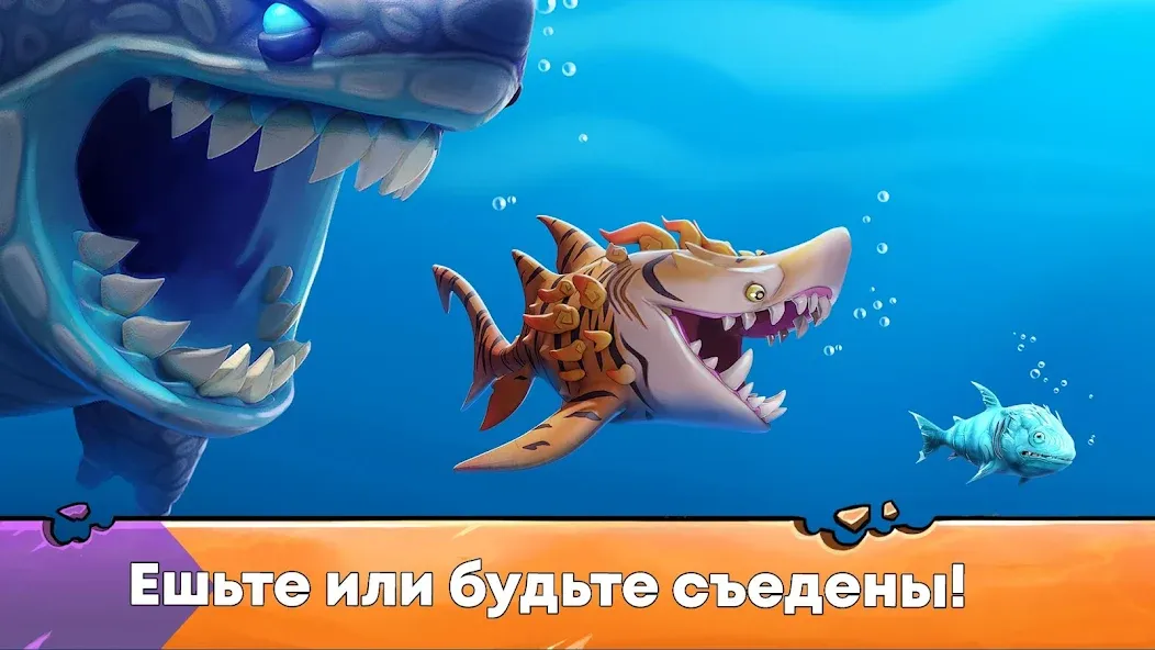 Скачать Hungry Shark Evolution: акула. на Андроид