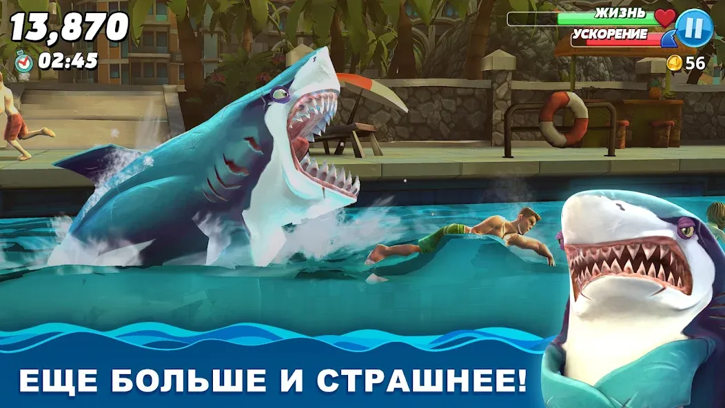 Скачать Hungry Shark World [Взлом/МОД Много денег] на Андроид